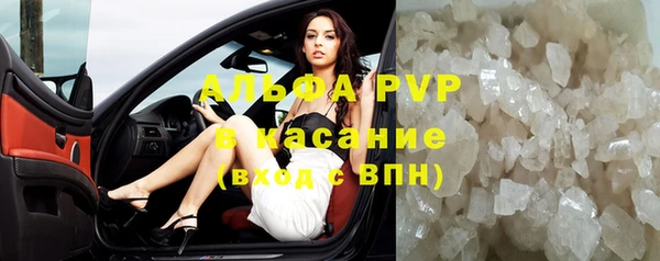 сатива Зеленокумск