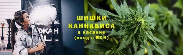 сатива Зеленокумск