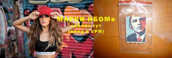 сатива Зеленокумск