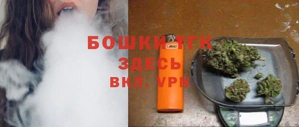 сатива Зеленокумск