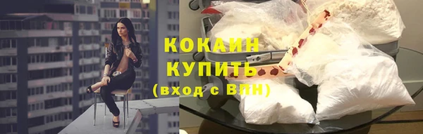 сатива Зеленокумск