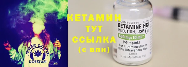 сатива Зеленокумск