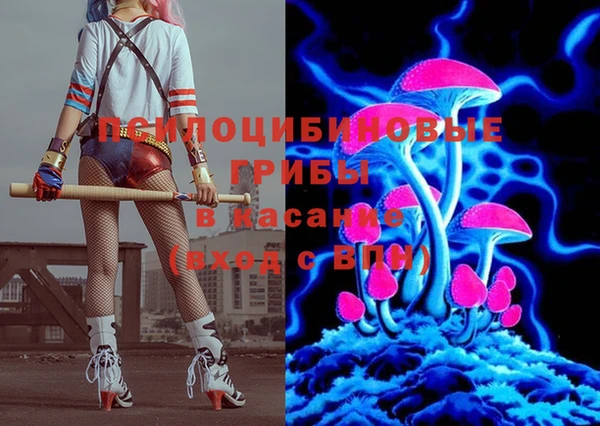 сатива Зеленокумск