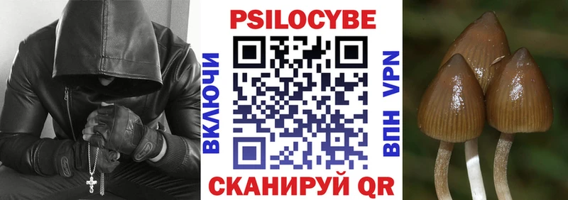 Купить где  Богородицк  Галлюциногенные грибы ЛСД 