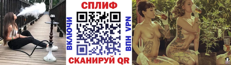 Бошки Шишки план  Купить  Богородицк 
